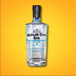 DUBLIN CITY GIN